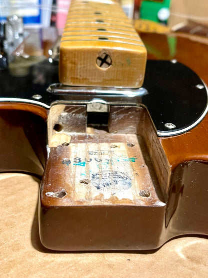 1975 Fender Telecaster Walnut Gloss finish 100% Original ~ Super Clean!