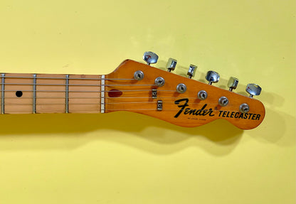 1975 Fender Telecaster Walnut Gloss finish 100% Original ~ Super Clean!