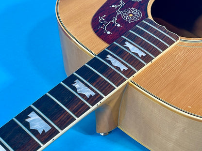 1973 Ventura V-200 B Beautiful Blonde Jumbo J-200