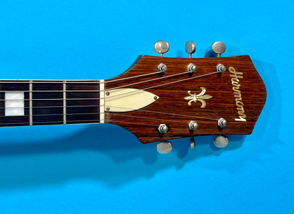 1958 Harmony H-62 killer arch top jazz & rockabilly machine